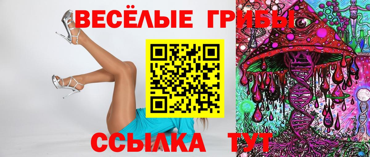 Котовск  Галлюциногенные грибы Psilocybe  Вход с VPN 