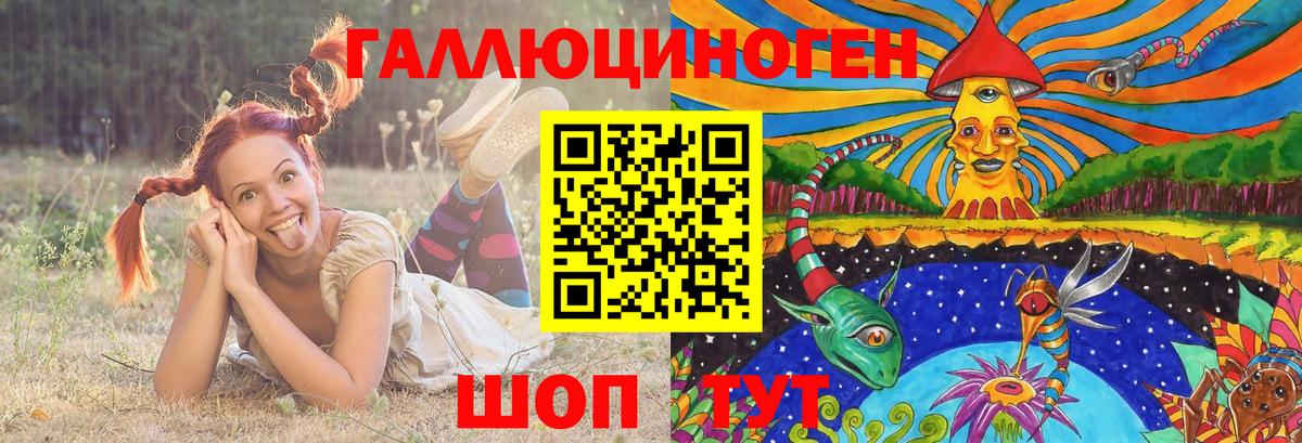 Псилоцибиновые грибы GOLDEN TEACHER Котовск